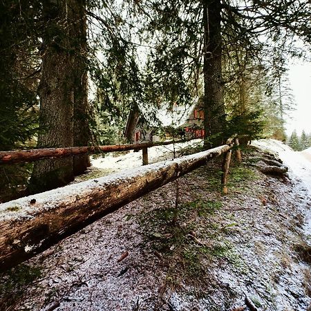 Chalet Stara Jelka Pokljuka Zgornje Gorje Bagian luar foto