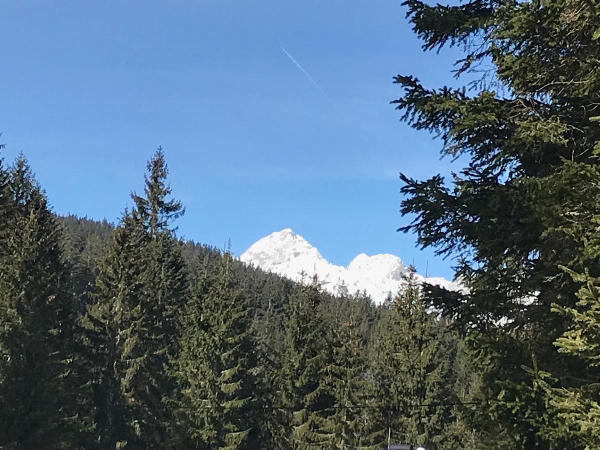 Chalet Stara Jelka Pokljuka Zgornje Gorje Bagian luar foto
