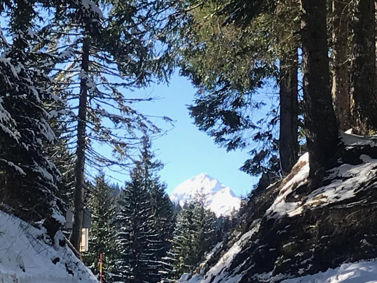 Chalet Stara Jelka Pokljuka Zgornje Gorje Bagian luar foto