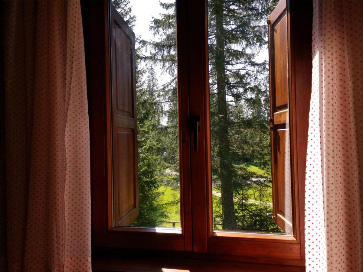 Chalet Stara Jelka Pokljuka Zgornje Gorje Bagian luar foto