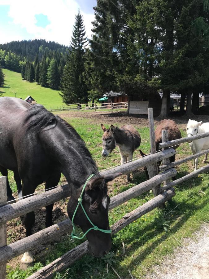 Chalet Stara Jelka Pokljuka Zgornje Gorje Bagian luar foto