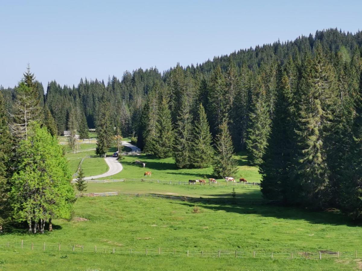 Chalet Stara Jelka Pokljuka Zgornje Gorje Bagian luar foto