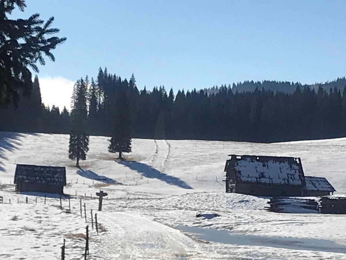 Chalet Stara Jelka Pokljuka Zgornje Gorje Bagian luar foto