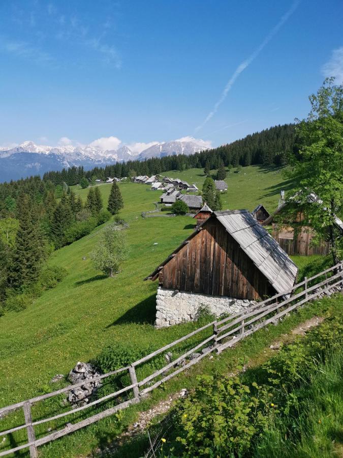 Chalet Stara Jelka Pokljuka Zgornje Gorje Bagian luar foto
