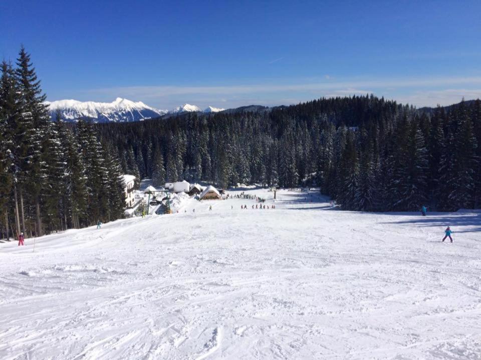 Chalet Stara Jelka Pokljuka Zgornje Gorje Bagian luar foto