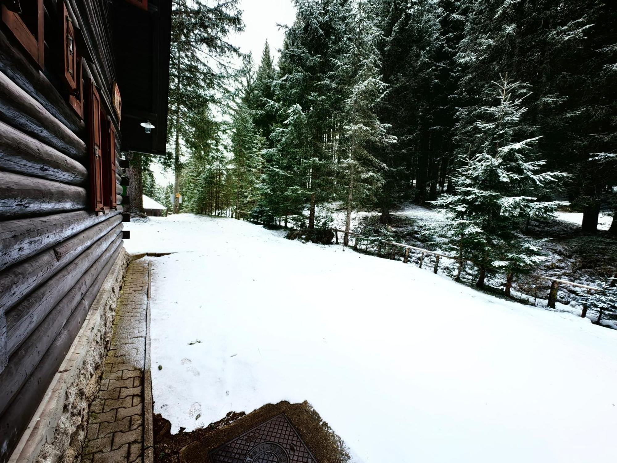 Chalet Stara Jelka Pokljuka Zgornje Gorje Bagian luar foto